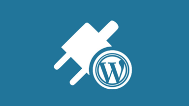 building websites on wordpress