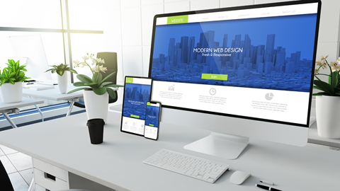 custom website in Pensacola